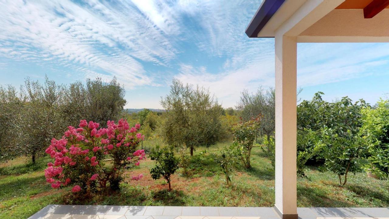 Apartments Goga Umag Exterior photo